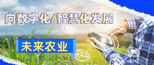 數字化鄉村智能管理 引領農業革命，助推農民增產致富