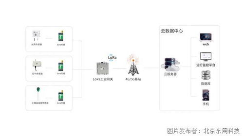 LoRa土壤溫濕度監測 開啟智能控制與精準農業管理新篇章